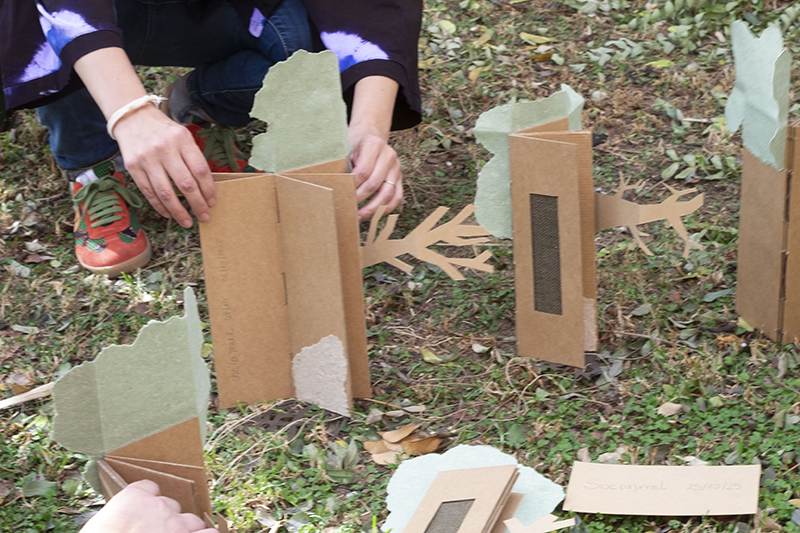 taller_llibre_arbre_r